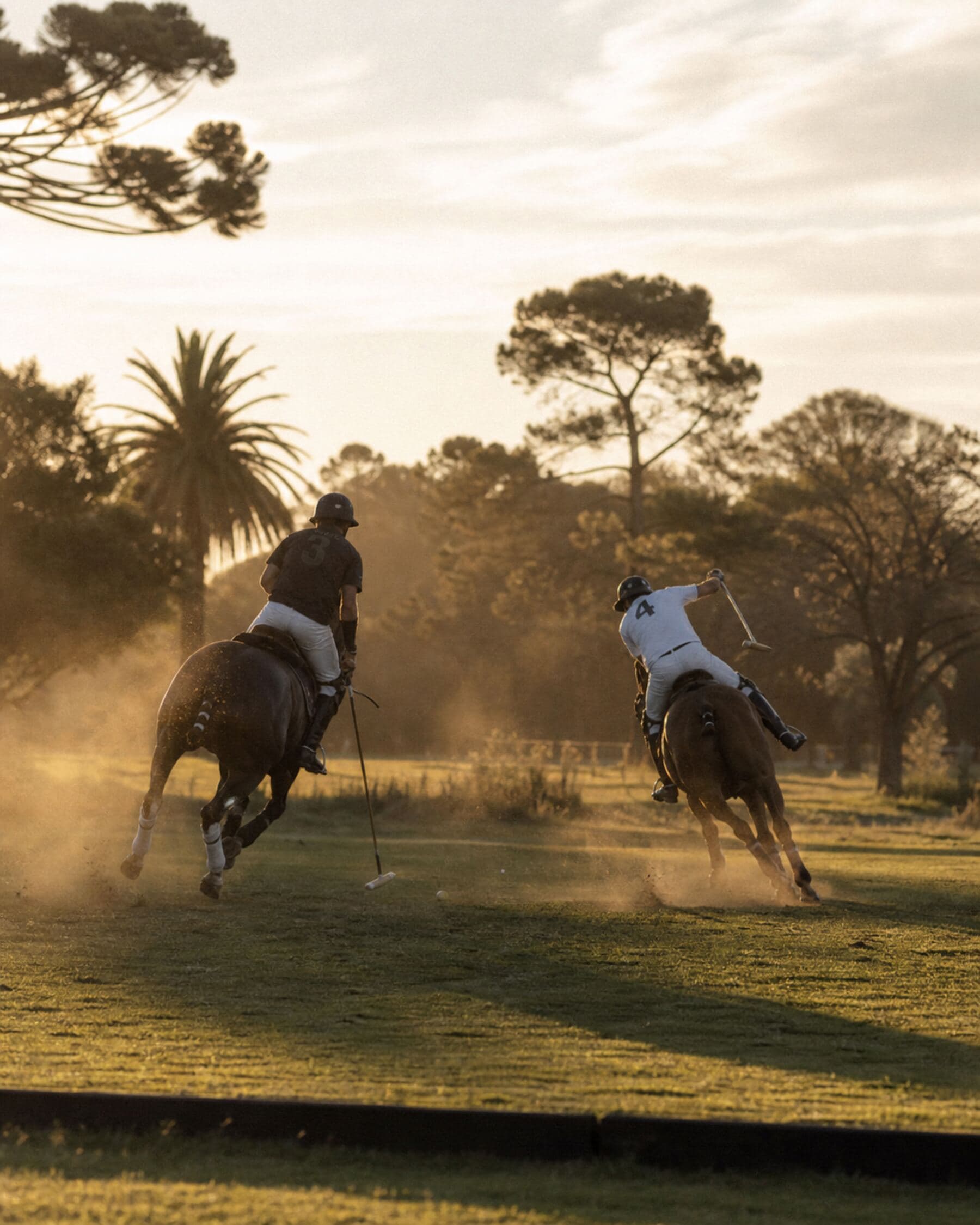 Polo amateur en cancha privada